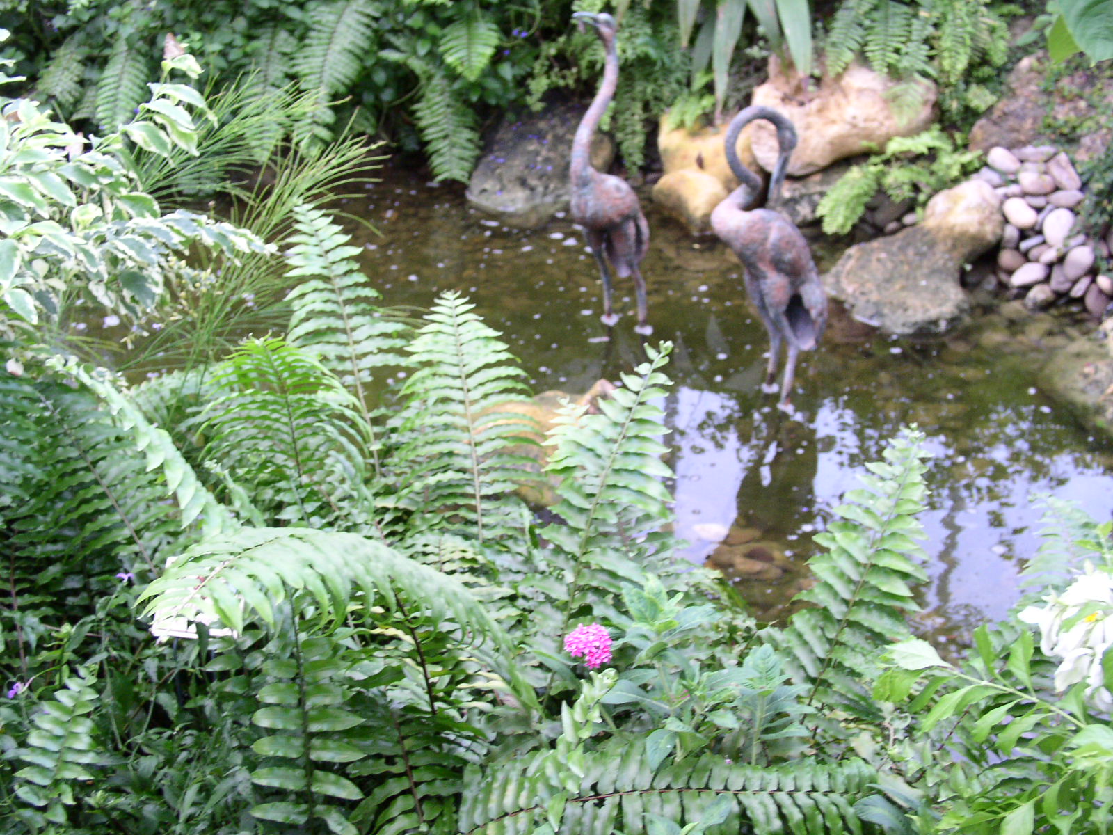 photo1